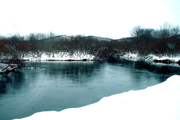 柳澤　徹　　北海道　2004・3　#5　雪積もる釧路湿原と河　ＳＬ冬の湿原号の走行する客車内より　写真