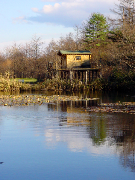柳澤　徹　　『夢の中の風の谷』　　写真　2004・10　（”自分”の夢の外では「モネの池」と呼ばれ、草津にある。　ロマンティックな景色であると思った）