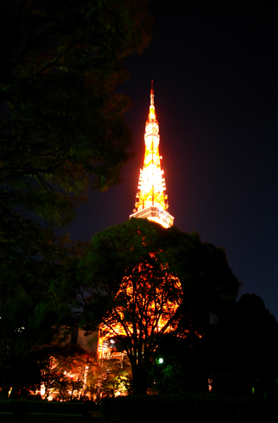 (C) 柳澤　徹　　東京・芝　2006・11　#1　『東京タワー』　　写真