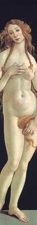 15世紀　イタリア・ルネサンスの画家　サンドロ・ボッティチェリ作　 『ヴィーナス』