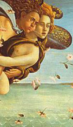 サンドロ・ボッティチェリ　ヴィーナスの誕生　（部分）　1485年　イタリア・ルネサンス